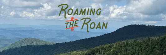 Overlook view from the top of Roan Mountain.