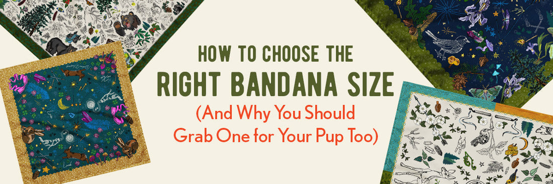 Ivory background with four bandanas layered around the edges. The text in the middle says "How to choose the right bandana size (And why you should grab one for your pup too).