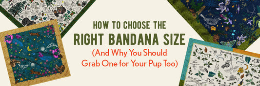 Ivory background with four bandanas layered around the edges. The text in the middle says "How to choose the right bandana size (And why you should grab one for your pup too).