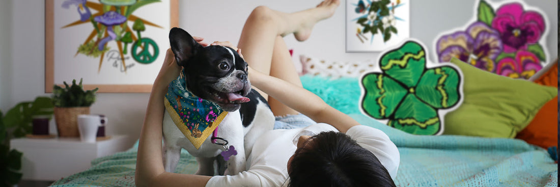 Young woman laying on a bed with her dog in her apartment.