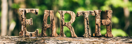 The word "earth" cutout in wood bark, sitting on a log in the woods.