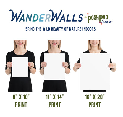 This is an infographic that shows the three size variants available. There is an image of a woman holding each size to give you an idea of what those sizes would look like in person. The available sizes are 8x10, 11x14, or 16x20.