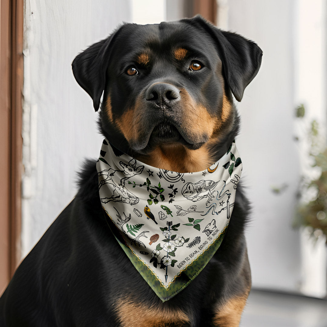 Born to Roam WanderWrap™ Bandana