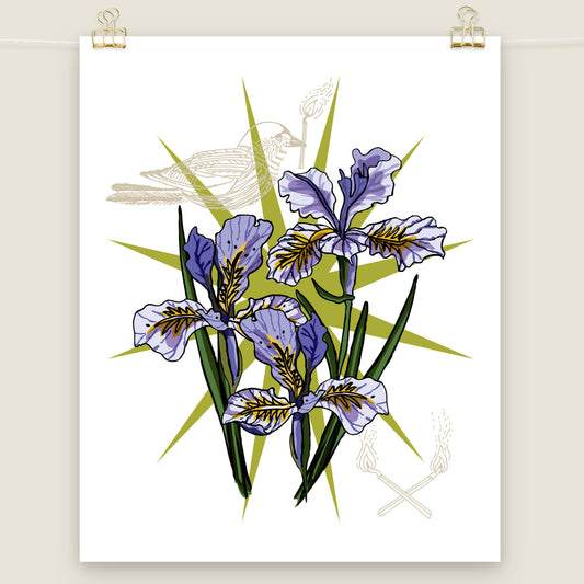 Purple Irises and Bird art print.