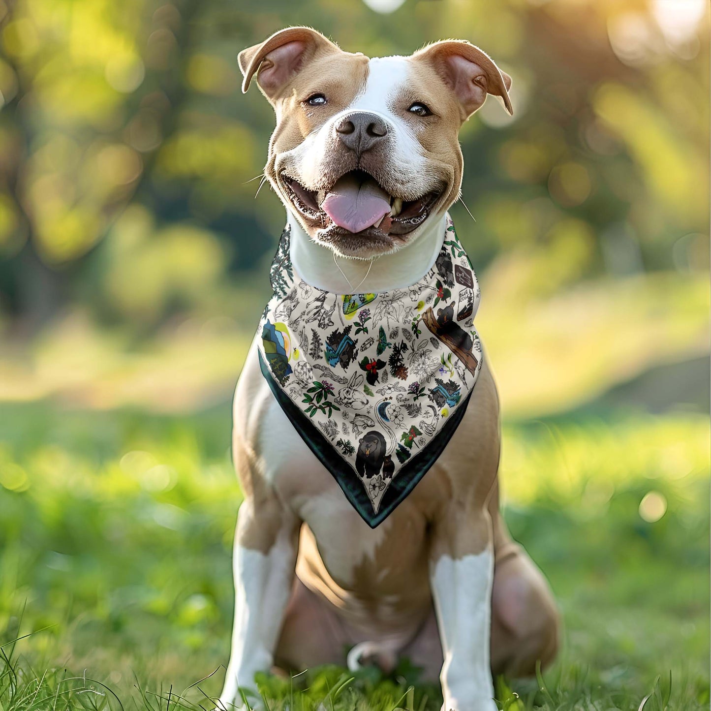 This photo shows a tan and white dog wearing the Smoky Mountains Bandana in a park.
