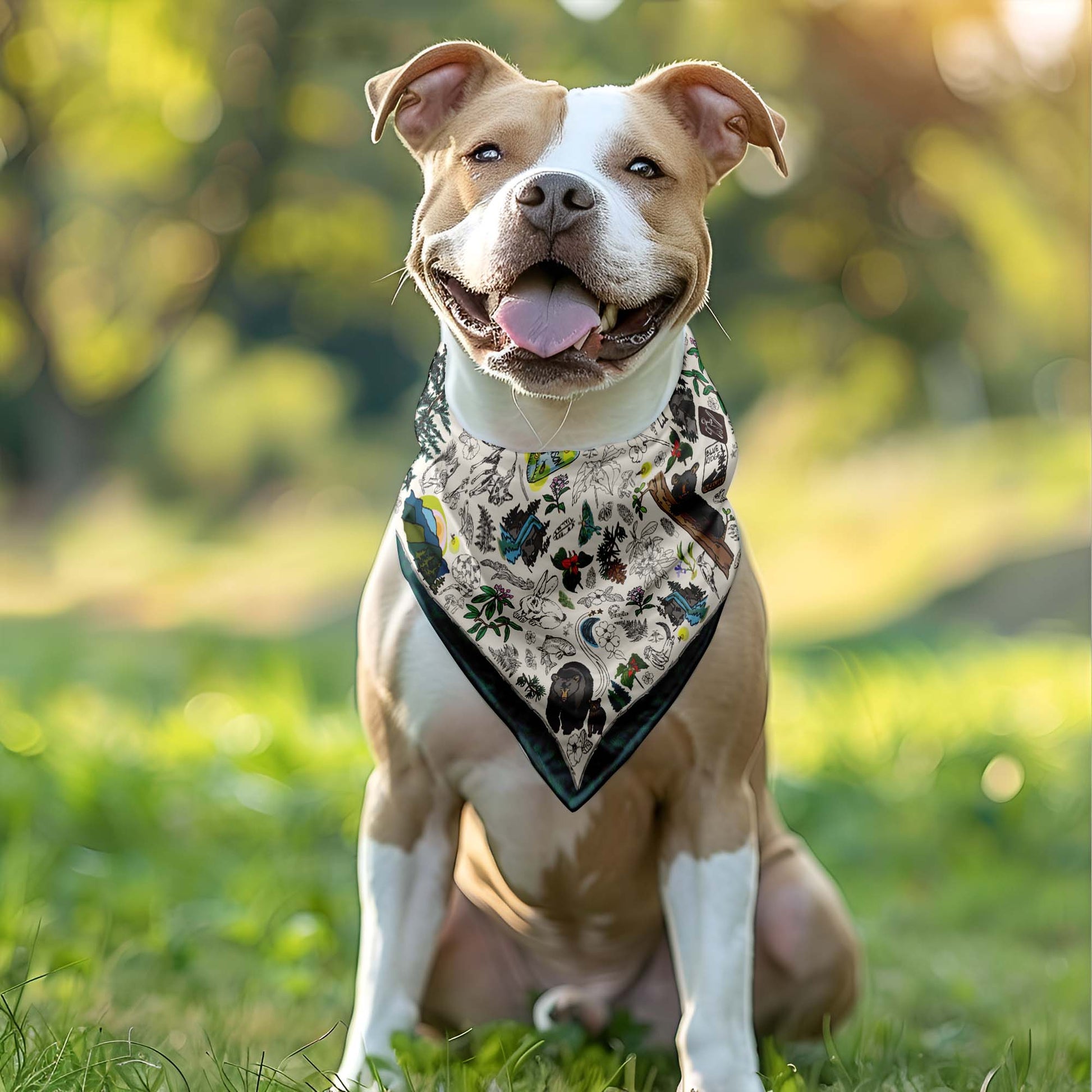 This photo shows a tan and white dog wearing the Smoky Mountains Bandana in a park.