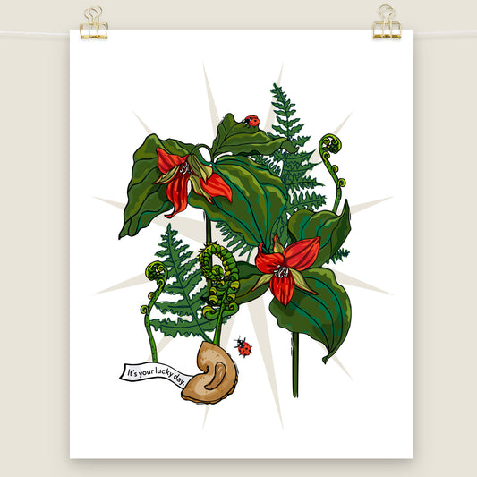 Trillium Fern and Fortune Cookie art print.