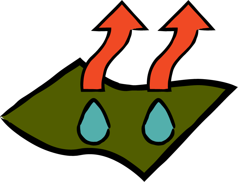 Alt Image